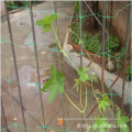 UV treated cucumber knotless plant supporting trellis netting